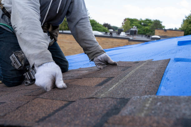 Best Sealant for Roof  in Laurens, IA