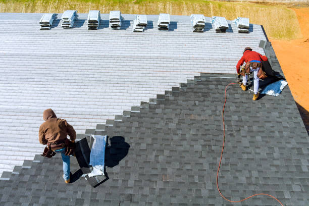 Roof Gutter Cleaning in Laurens, IA