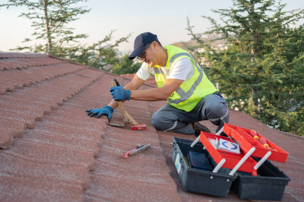 Best Tile Roofing Contractor  in Laurens, IA
