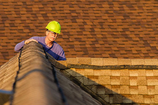 Best Best Roofing Contractors  in Laurens, IA